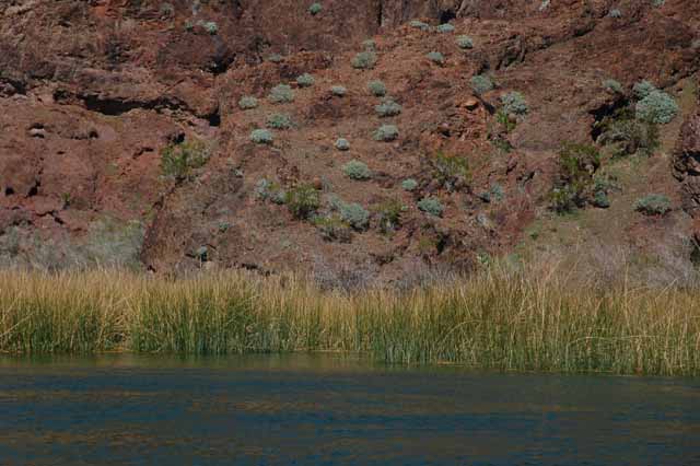 Topock Gorge